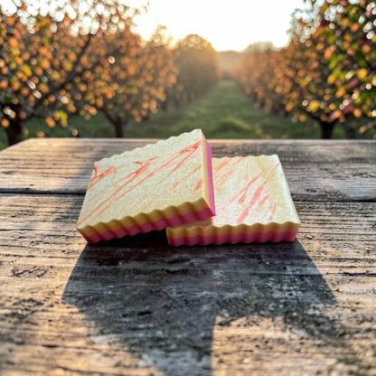 Apple Orchard