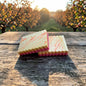 Apple Orchard